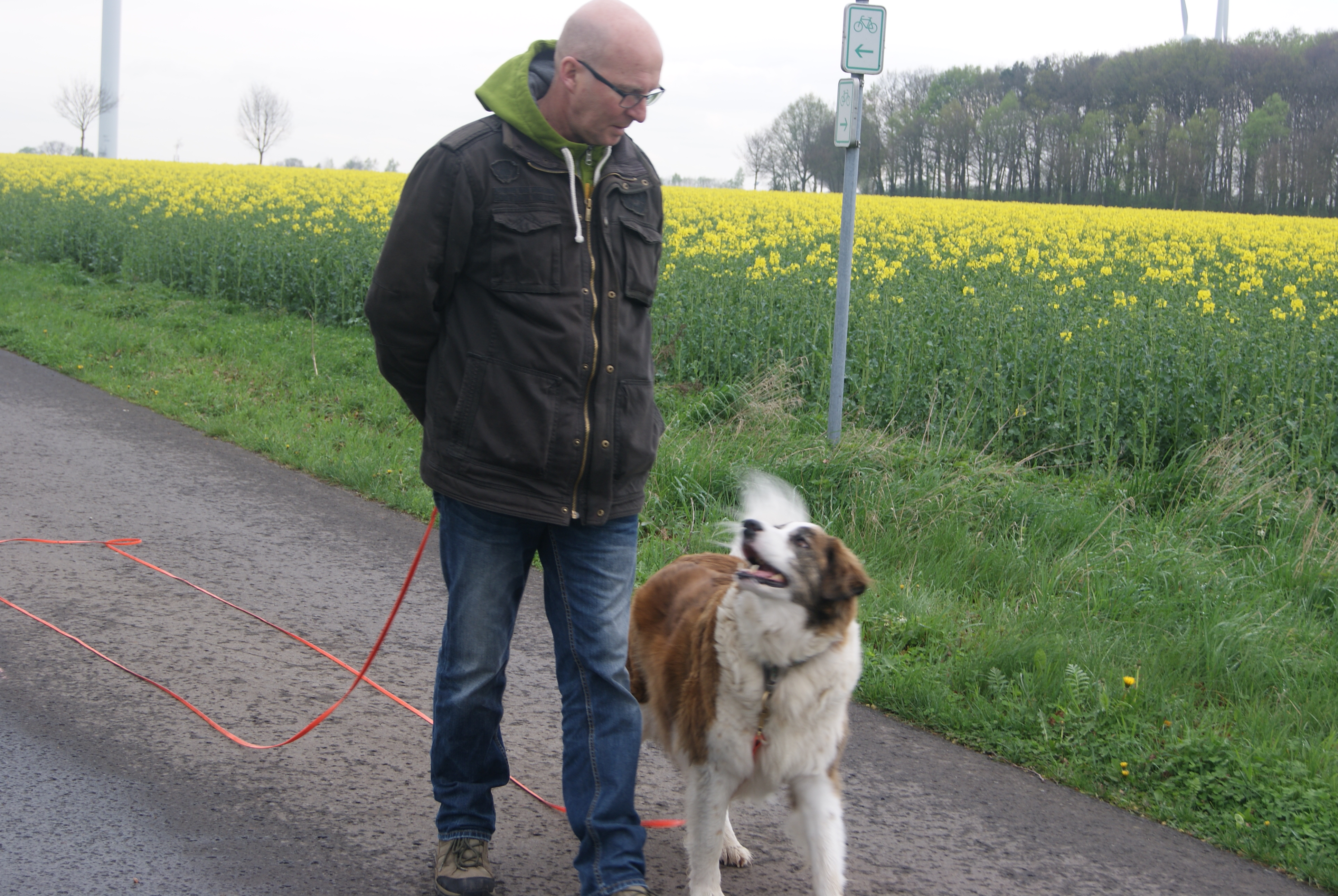 Leinenführigkeit Entspannt spazieren gehen Hundeschule Nienburg